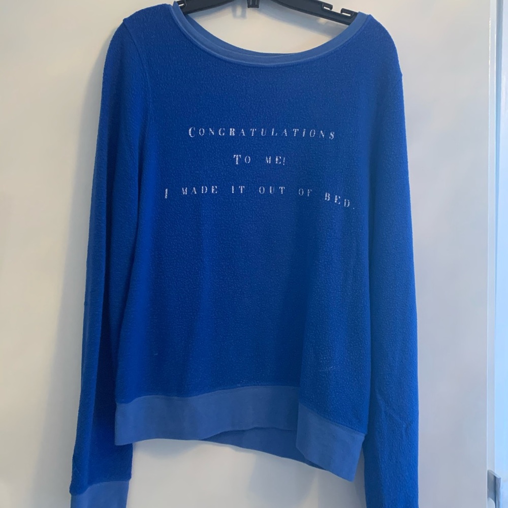 Wildfox sweater